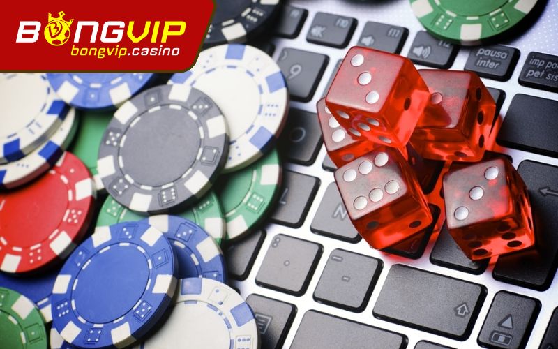 Bảo vệ thông tin và quyền riêng tư trong điều khoản