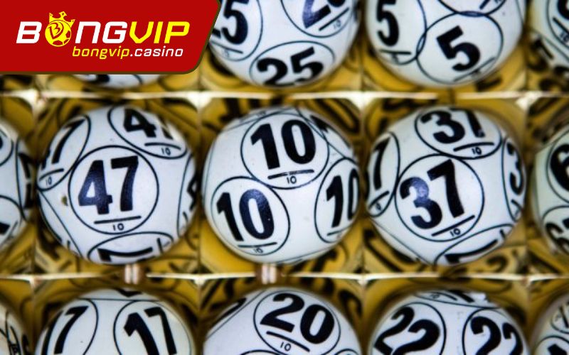 Đặt cược và quản lý vốn