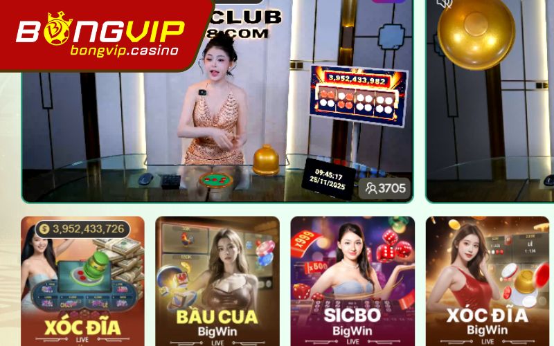 Giới thiệu tổng thể về Bongvip