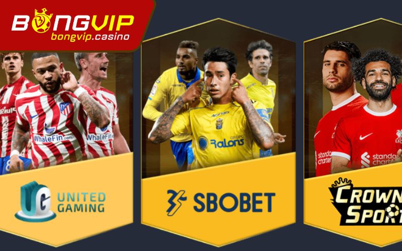 Khám phá cược thể thao Bongvip