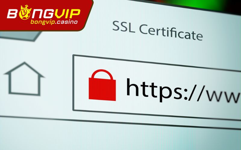 Mã hóa và lưu trữ an toàn